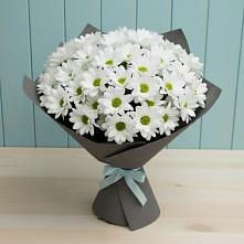 Букет цветов из:  Хризантемы #REPLACE_PRED# Богородицке