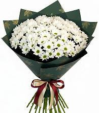 Букет цветов из:  Хризантемы #REPLACE_PRED# Богородицке