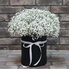 Цветочная композиция из Гипсофила в шляпной коробке #REPLACE_PRED# Богородицке