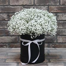 Цветочная композиция из Гипсофила в шляпной коробке в Богородицке